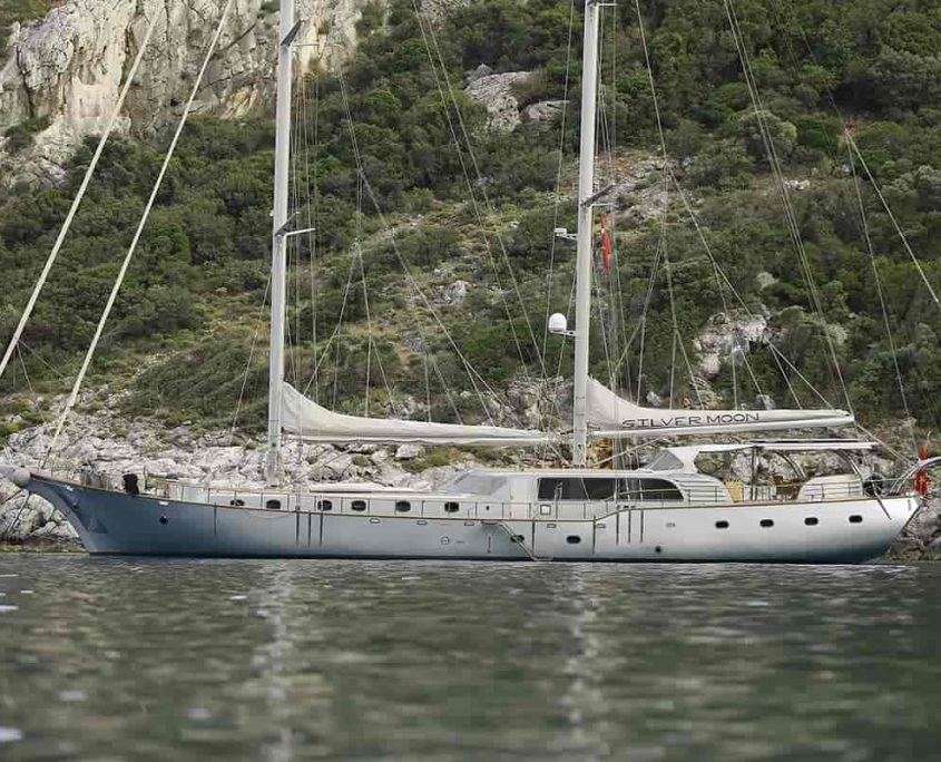 SILVERMOON Side view-min SILVERMOON Side view-min