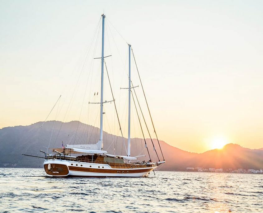 WICKED FELINA Sunset