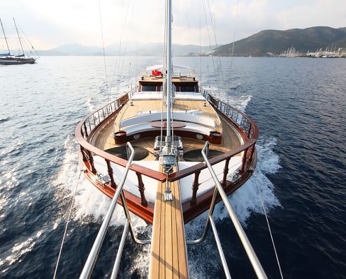 WHITE GOOSE Front view WHITE GOOSE Front view